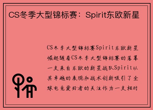 CS冬季大型锦标赛：Spirit东欧新星