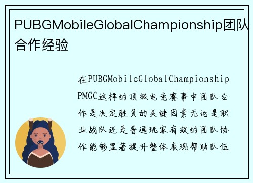 PUBGMobileGlobalChampionship团队合作经验
