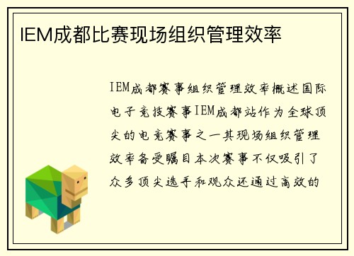 IEM成都比赛现场组织管理效率